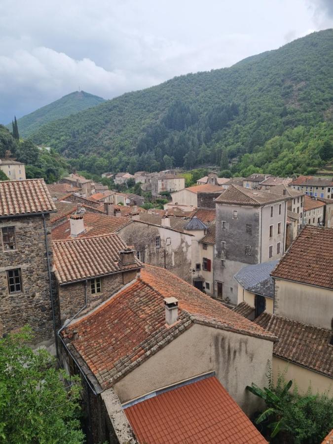 Gite D'Aigoual Valleraugue Exterior foto